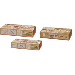Set 3 boîtes plumiers 'Corkboard Curiosities'
