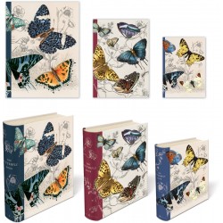 Set de 3 boîtes livres gigognes GM - Butterfly Studies
