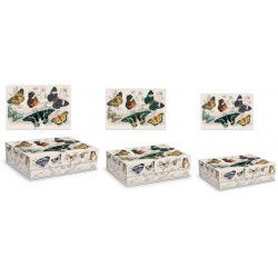 Set de 3 boîtes rectangulaires gigognes GM - Butterfly Parchment