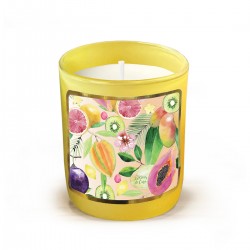 Candle 220gr - Flamingo Tropico