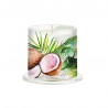 Bougie Parfumée 164 g sous cloche - Coconut Palm*