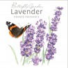 Sachet parfumé en papier - Lavender (lavande)