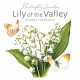Sachet parfumé anglais 'Lily of The Valley' (Muguet)