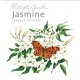 Sachet parfumé anglais 'Jasmine' (Jasmin)