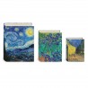 Set de 3 boîtes livres gigognes GM - Van Gogh