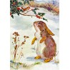 Christmas card - Rabbit & Robin