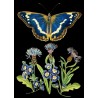 Blank card - Whimsical (blue butterfly)