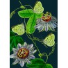Blank card - Botanical (green butterflies)