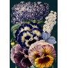 Blank card - Botanical (bouquet of pansies)
