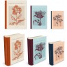 Large book box set 3 - Botanical illustrations