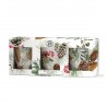 Coffret cadeau 3 bougies 70g - White Spruce