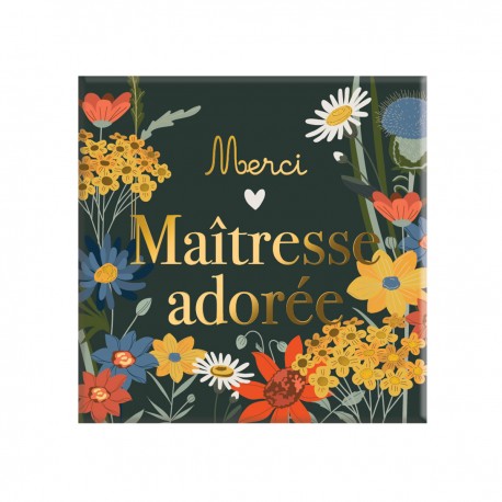 Magnet - Fleurs des champs (maîtresse adorée)