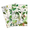 Set de 2 torchons assortis 100% coton - Magnolia Petals*