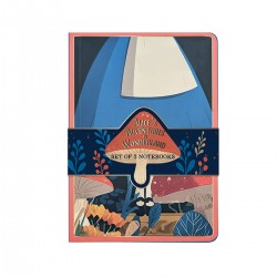 Set 3 carnets de notes B6 - Reading Room (Alice in Wonderland)