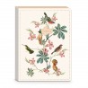 Carnet de notes A5 couverture souple - Ephemeral Garden (Birds)