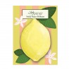Bloc notes autocollant - Fruit & Fleur (Lemon)
