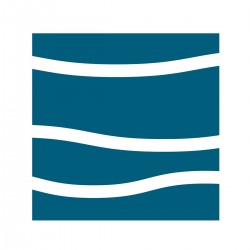 Bamboo Napkin 33x33 cm Waves - Chic Mic