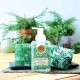 Foaming soap - Greenhouse