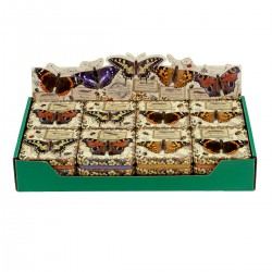 Boîtes rectangulaires PM 4ass - Vintage Butterflies - Nostalgia