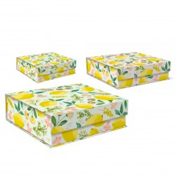 Set 3 boîtes carrées GM 'Botany Yellow'