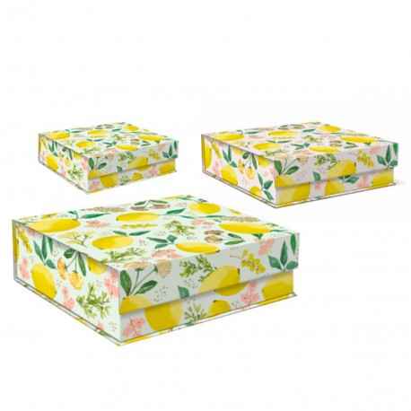 Set 3 boîtes carrées GM 'Botany Yellow'