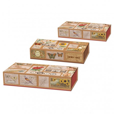 Set 3 boîtes plumiers 'Corkboard Curiosities'