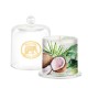 Bougie Parfumée 164 g sous cloche - Coconut Palm