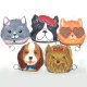 Trousse porte clés aspect cuir - Pets Cat Heart Glasses