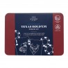Boîte en métal & Jeux Poker (cartes + jetons) - Joules (Male)*