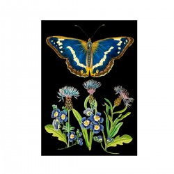 Carte double GM et enveloppe - Whimsical (blue butterfly)