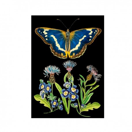 Carte double GM et enveloppe - Whimsical (blue butterfly)