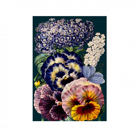 Blank card - Botanical (bouquet of pansies)