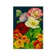Carte double GM et enveloppe - Botanical (Mix flowers)