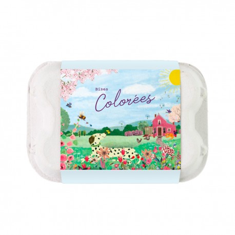 Eggbox of 7 flowers bombs - Maison Rose