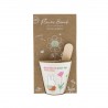 Grow kit (1 flowers bomb + pot) - Miffy (Des fleurs pour toi)