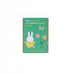 Coffret 4 bombes de fleurs - Miffy (Fais pousser le bonheur)