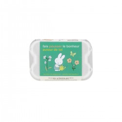 Eggbox of 6 flowers bombs - Miffy (Fais pousser le bonheur)