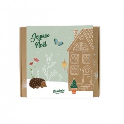 Coffret 9 bombes de fleurs - Xmas (Joyeux Noël écureuil)