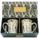 Coffret 2 mugs en porcelaine - Daffodil