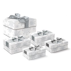 Big square bow box set of 5 - Silver Snowflakes