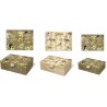 Cigar box set 3 - Roaming tigress