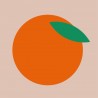 Bamboo Napkin 33x33 cm Orange - Chic Mic