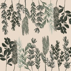 20 Serviettes 100% Bambou 33x33 cm Ferns - Chic Mic
