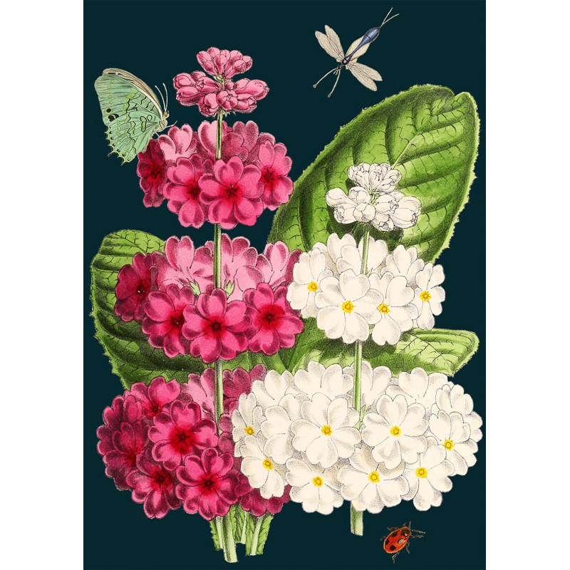 Carte « enveloppe fleurie »