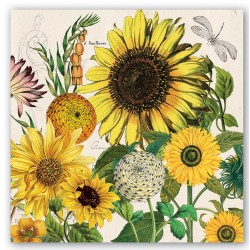 Pochette de 20 serviettes carrées - Sunflower