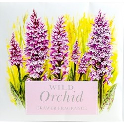 Sachet parfumé en papier - Wild Orchid (Orchidée sauvage)