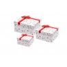 Square Flap Box  - Red Mistletoes