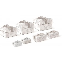 Set boîtes 3 carrées 4 rectangulaires ruban Noel - Silver Snowflake