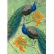Cards - Whimsical (two peacocks)