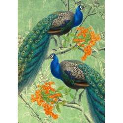 Carte double GM et enveloppe - Whimsical (two peacocks)